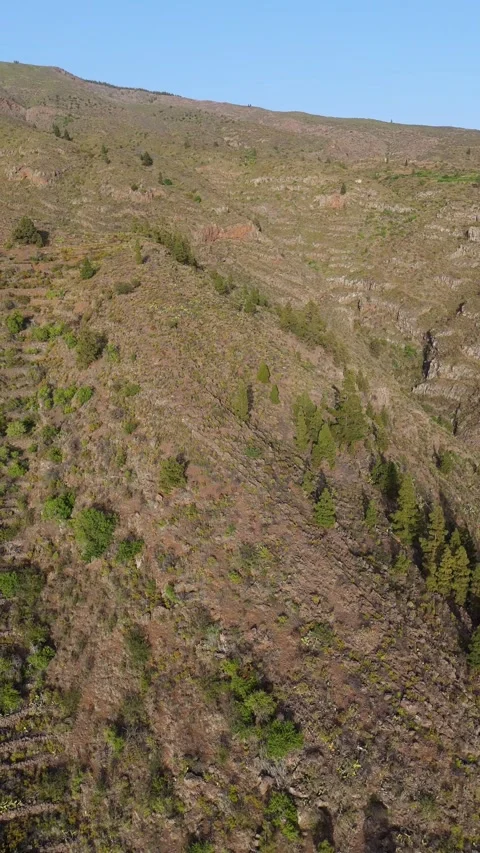 Vertical 4K Drone Flight Through Canyon, Tenerife Stock Footage 314607502