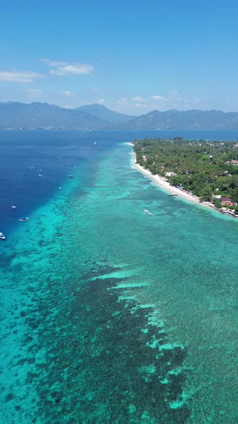 Vertical 4K Drone Gili Air Island Lombok Indonesia Tropical Beach Stock Footage 336936010