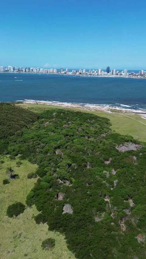 Vertical 4K Drone Isla Gorriti Punta del Este Uruguay Beach Stock Footage 338059840