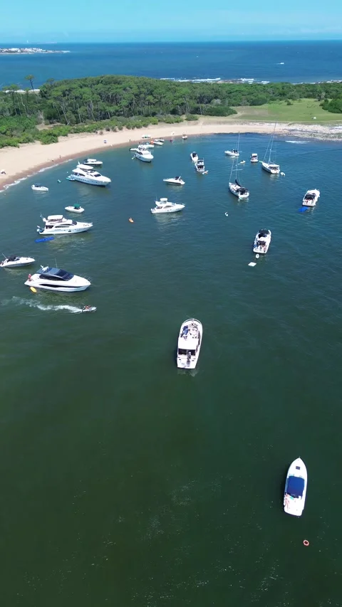 Vertical 4K Drone Isla Gorriti Punta del Este Uruguay Beach Stock Footage 338059988