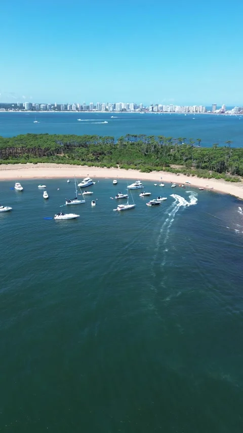 Vertical 4K Drone Isla Gorriti Punta del Este Uruguay Beach Stock Footage 338060188