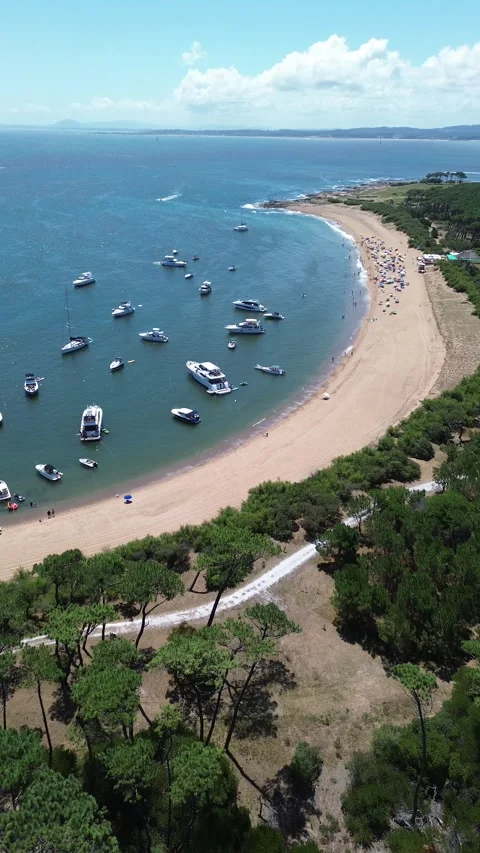 Vertical 4K Drone Isla Gorriti Punta del Este Uruguay Beach Stock Footage 338060204