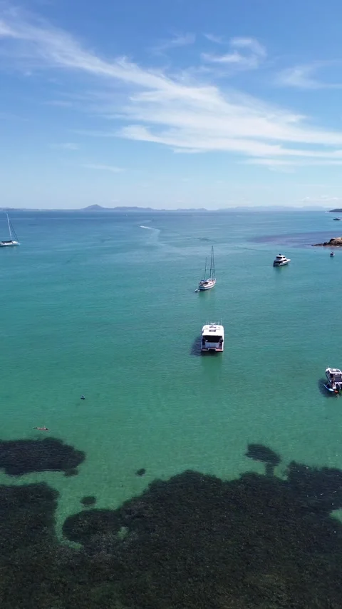 Vertical 4K Drone Keppel Island Queensland Australia Tropical Beach Stock Footage 338072247