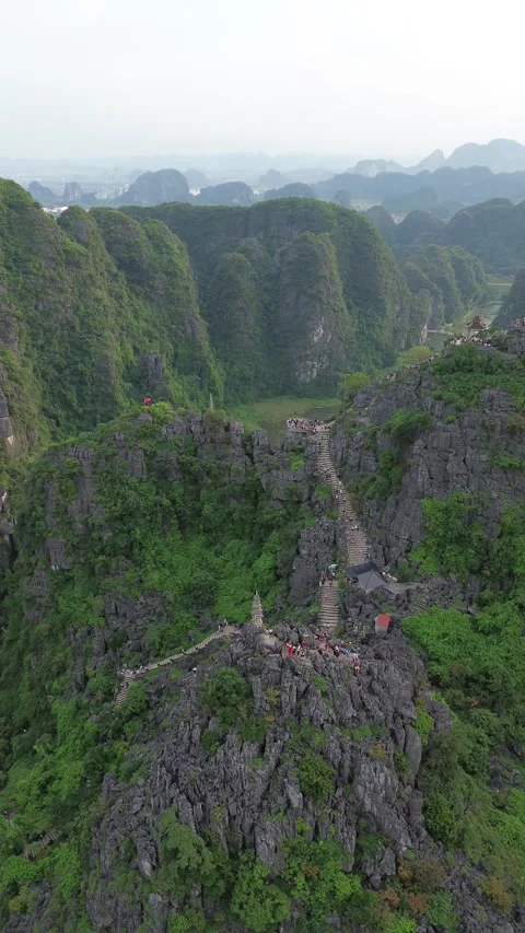 Vertical 4K Drone Ninh Binh Vietnam Limestone Karst Rice Paddies Stock Footage 337936684