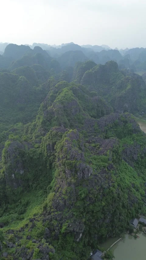 Vertical 4K Drone Ninh Binh Vietnam Limestone Karst Rice Paddies Stock Footage 337936693