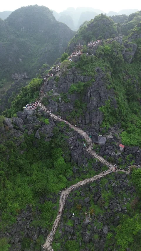 Vertical 4K Drone Ninh Binh Vietnam Limestone Karst Rice Paddies Stock Footage 337936697