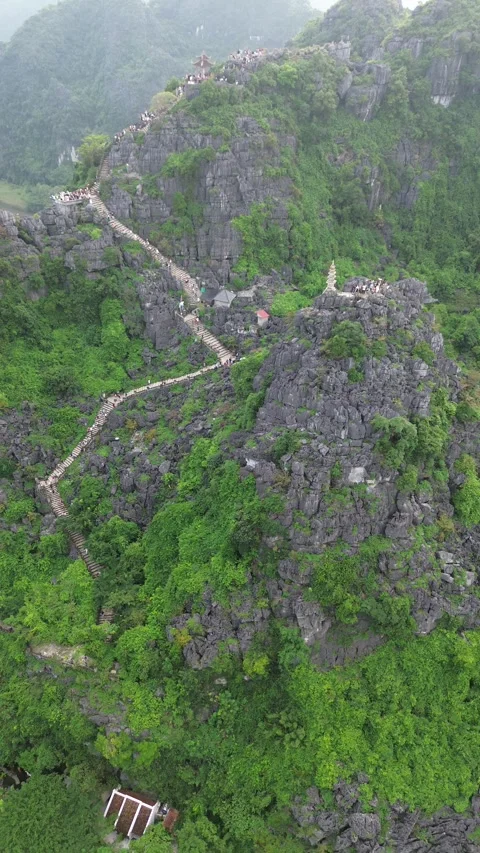 Vertical 4K Drone Ninh Binh Vietnam Limestone Karst Rice Paddies Stock Footage 337936698