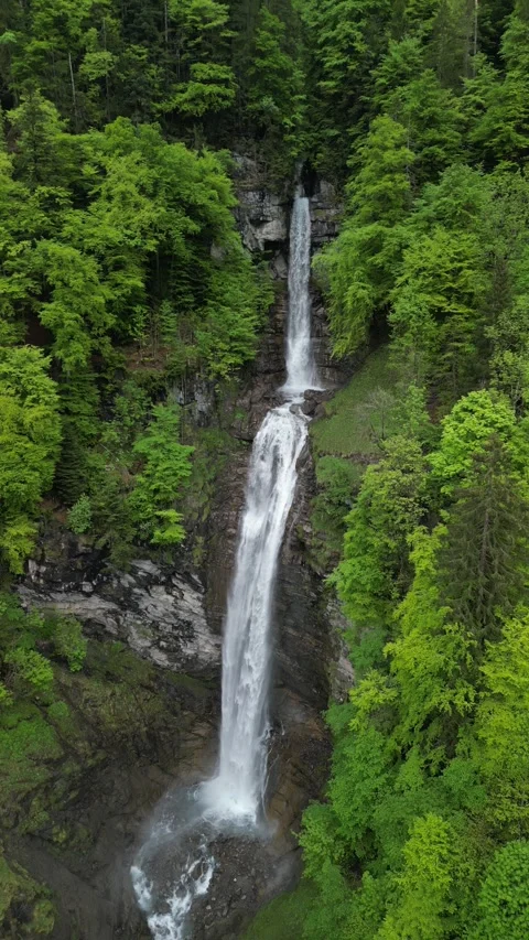 Vertical 4K Drone View of a Double Alpine Waterfall in Lush Green Forest Video stock 328706169