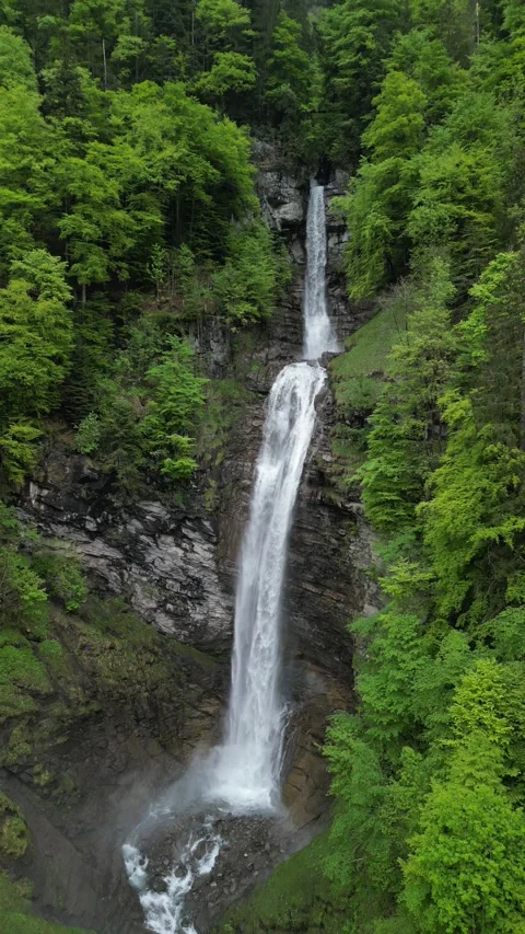 Vertical 4K Drone View of a Double Alpine Waterfall in Lush Green Forest Video stock 328706201