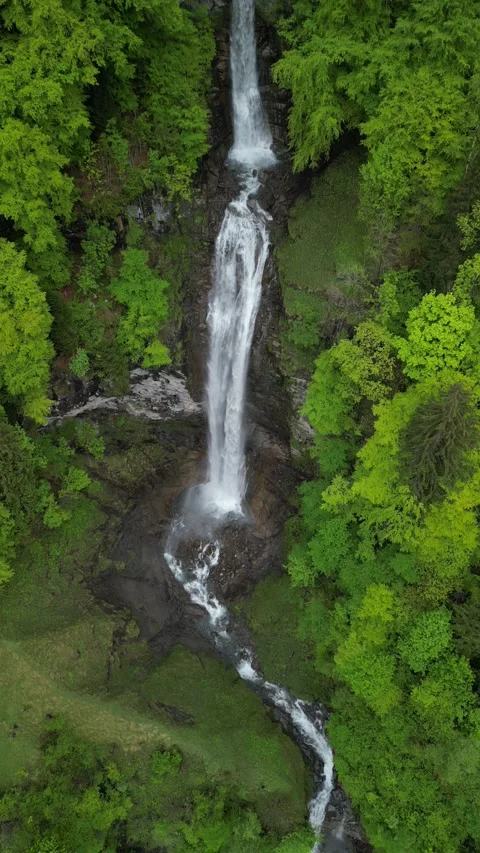 Vertical 4K Drone View of a Double Alpine Waterfall in Lush Green Forest Video stock 328706202