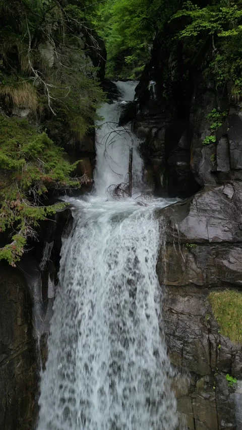 Vertical 4K Drone View of a Double Alpine Waterfall in Lush Green Forest Video stock 328706246