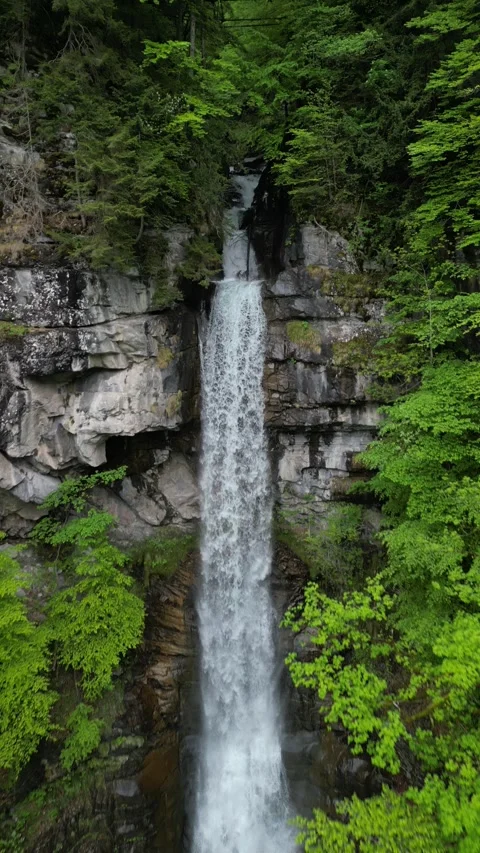 Vertical 4K Drone View of a Double Alpine Waterfall in Lush Green Forest Video stock 328706268