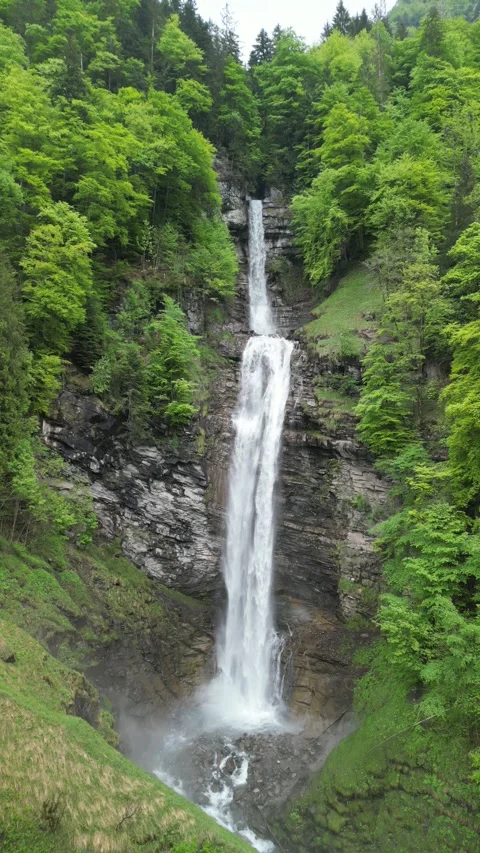 Vertical 4K Drone View of a Double Alpine Waterfall in Lush Green Forest Video stock 328706279