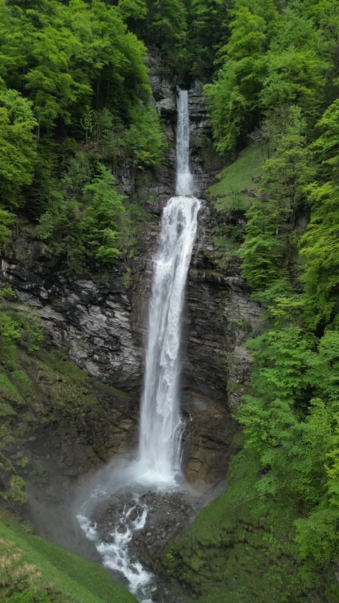 Vertical 4K Drone View of a Double Alpine Waterfall in Lush Green Forest Video stock 328706295