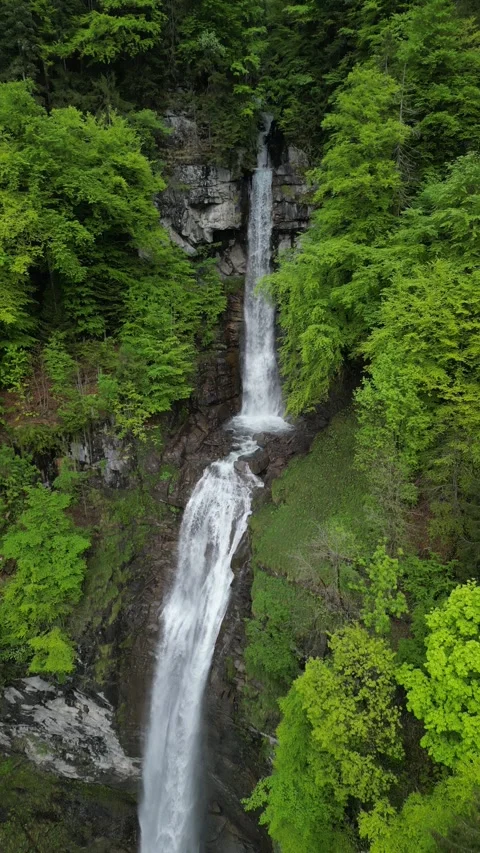 Vertical 4K Drone View of a Double Alpine Waterfall in Lush Green Forest Stock Footage 328706298