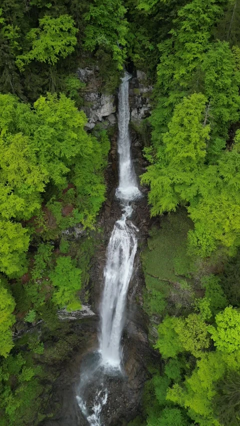 Vertical 4K Drone View of a Double Alpine Waterfall in Lush Green Forest Video stock 328706322