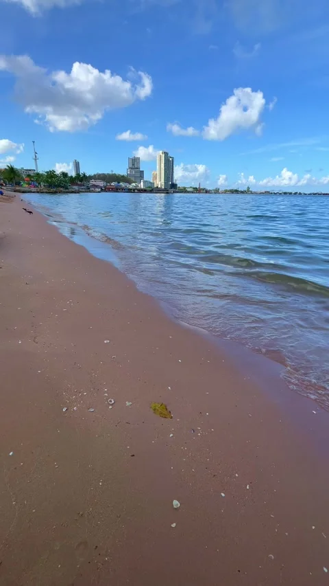 Vertical 4K footage of a beautiful sandy beach with crystal-clear blue ocean und Vídeos de archivo 341300120