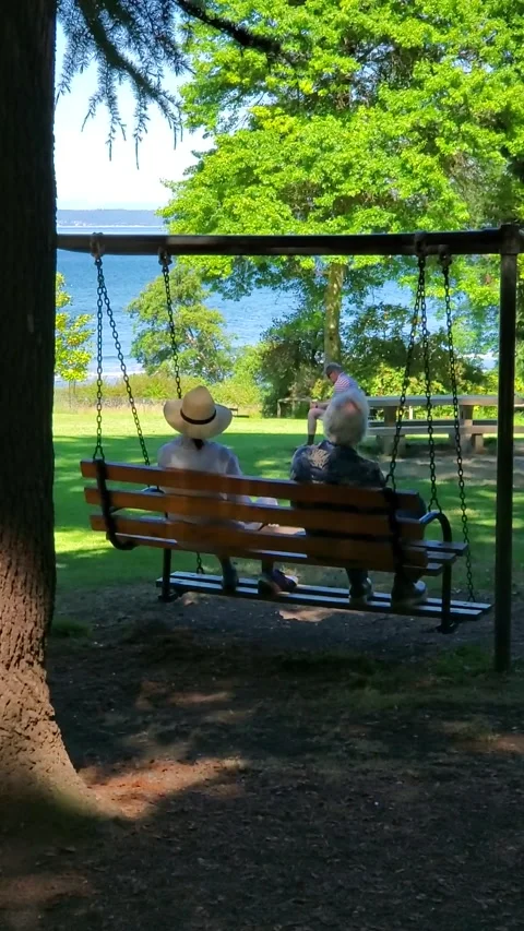 Vertical 4K footage of an elderly couple sitting on a swing bench in a park Stock-Footage 324556231