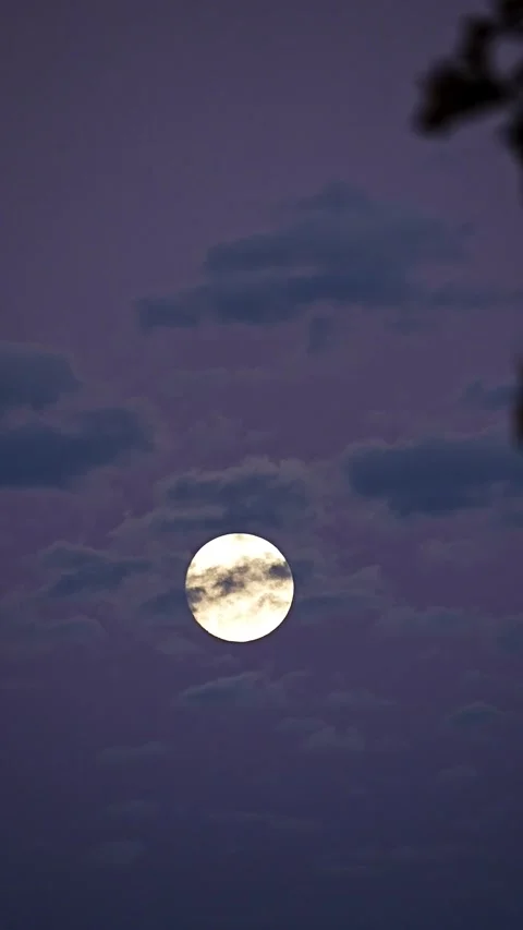 Vertical 4K Full Moon Rising Over New York City Skyline with Clouds Stock-Footage 299770711