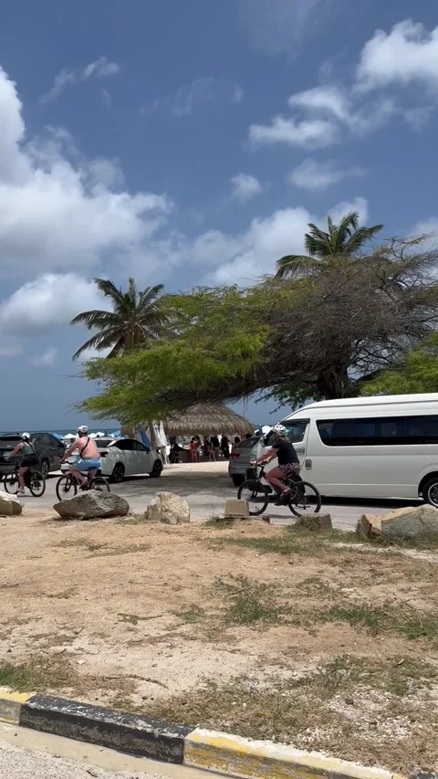 Vertical 4K Group Of Tourists Riding Bicycles On Eagle Beach Bike Path Vídeos de archivo 335344684
