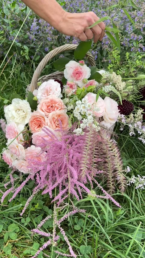 Vertical 4K handheld shot of placing fresh rose into basket. 스톡 동영상 337902285
