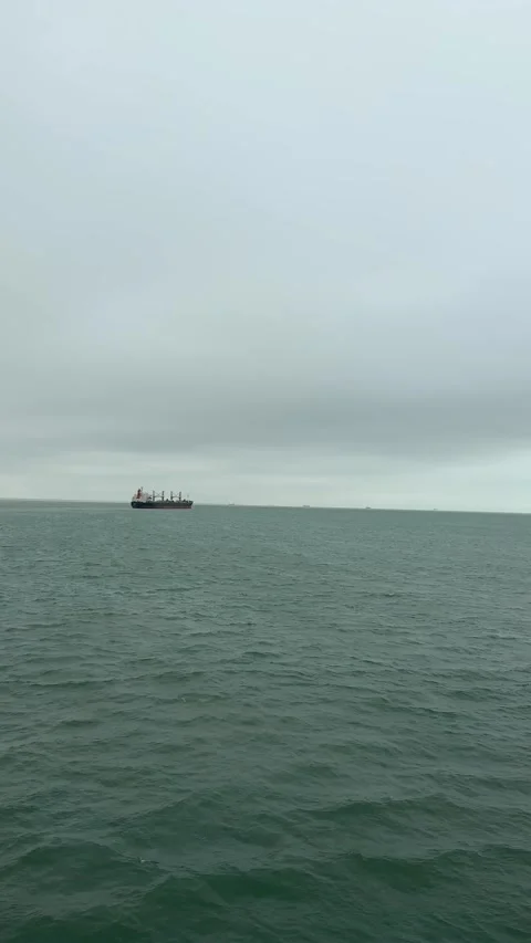 Vertical 4K Large Cargo Ship Sailing in Busy Qiongzhou Strait Video stock 332036420