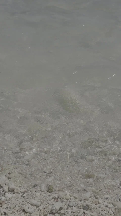 Vertical 4K LOG Tropical Beach Waves Washing Over Coral Sand Ungraded Stock-Footage 335371646