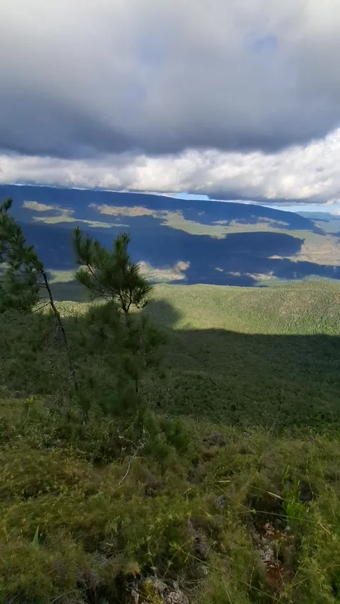 Vertical 4K panoramic green valley landscape framed by trees Vidéo 329072718