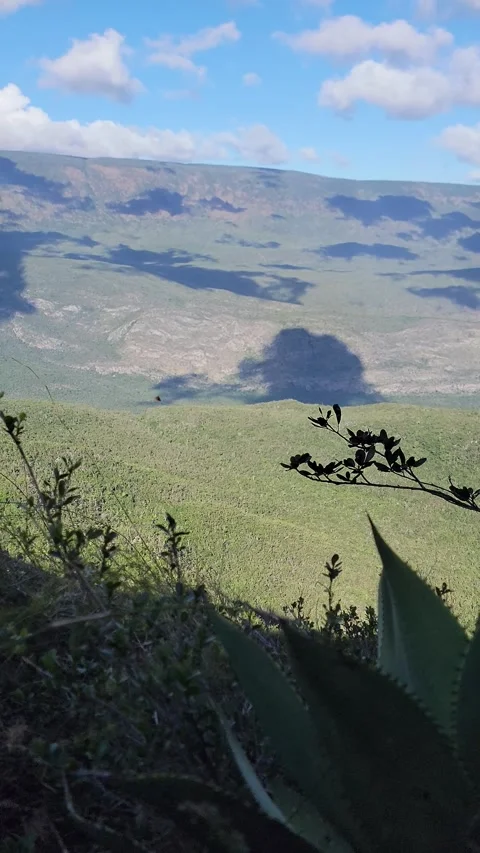 Vertical 4K panoramic green valley landscape framed by trees Stock Footage 329074765
