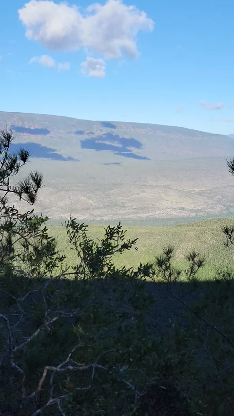 Vertical 4K panoramic green valley landscape framed by trees Stock Footage 329075039
