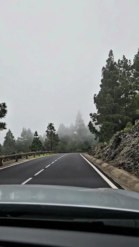 Vertical 4K POV driving shot through mystical winter fog in Tenerife pine forest Stock Footage 332470093