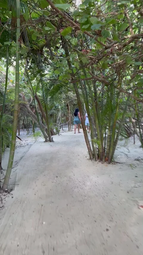 Vertical 4K POV Walking Behind Cruise Passengers Rushing To Claim Beach Lounger Stock Footage 335549445
