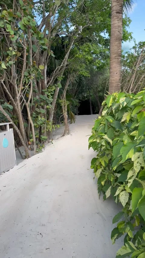 Vertical 4K POV Walking Past South Beach Welcome Sign At CocoCay Stock Footage 335549434
