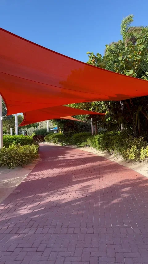 Vertical 4K POV Walking On Red Carpet Path Under Festive Flags At CocoCa 2868 Stock Footage 335549450