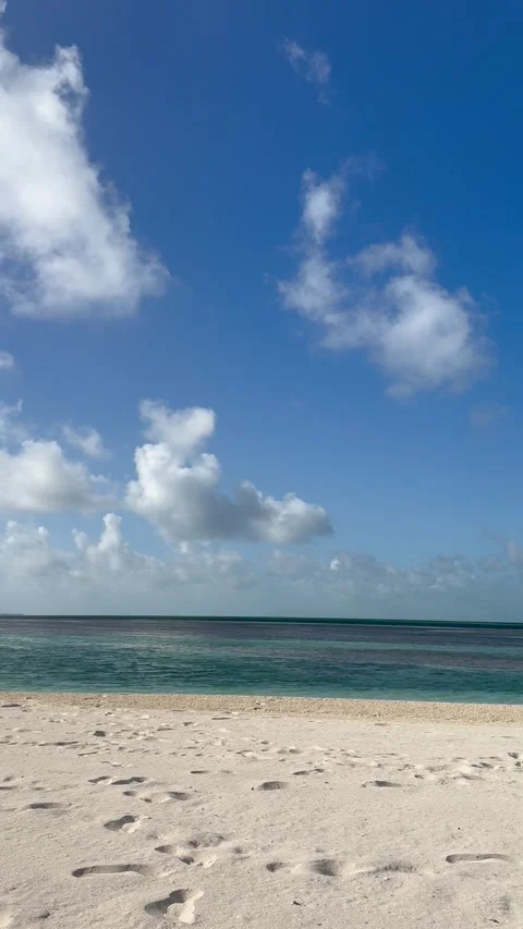 Vertical 4K Pristine Empty Tropical Beach With Turquoise Ocean And Sky Stock Footage 335549184