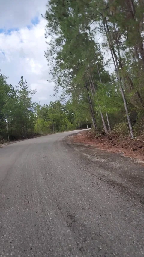 Vertical 4K road through pine forest at red sunset with cinematic lens flare 스톡 동영상 329074158