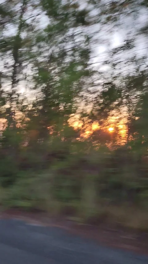 Vertical 4K road through pine forest at red sunset with cinematic lens flare Stock-Footage 329075639