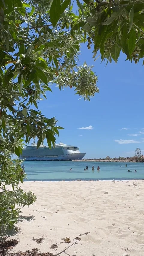 Vertical 4K Scenic Beach Framing Shot Of Allure Of The Seas Cruise Liner Stock Footage 335460528
