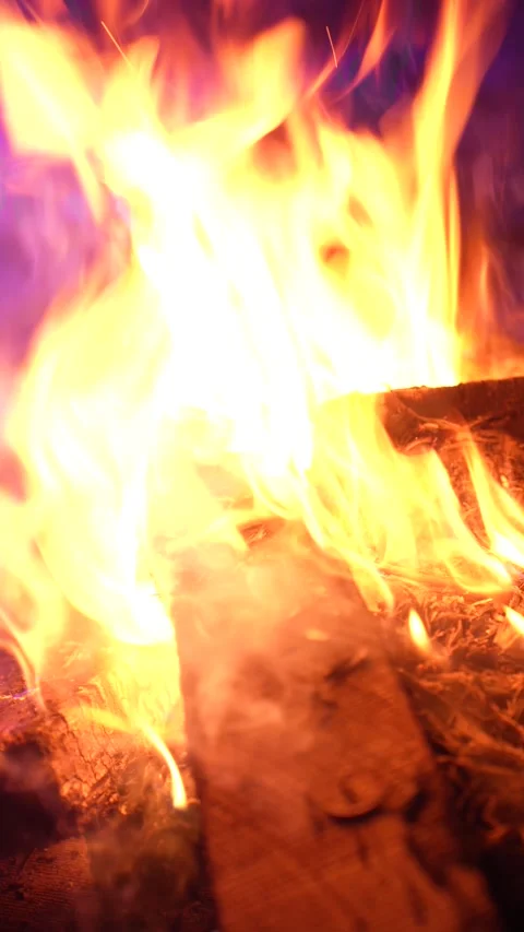 Vertical 4K shot of a campfire with a forest silhouette background at dusk. Stock Footage 328758873