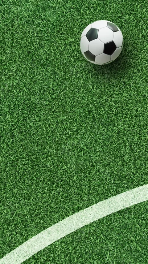 Vertical 4K soccer field background with ball near curved line, alpha channel Stock Footage 328706499