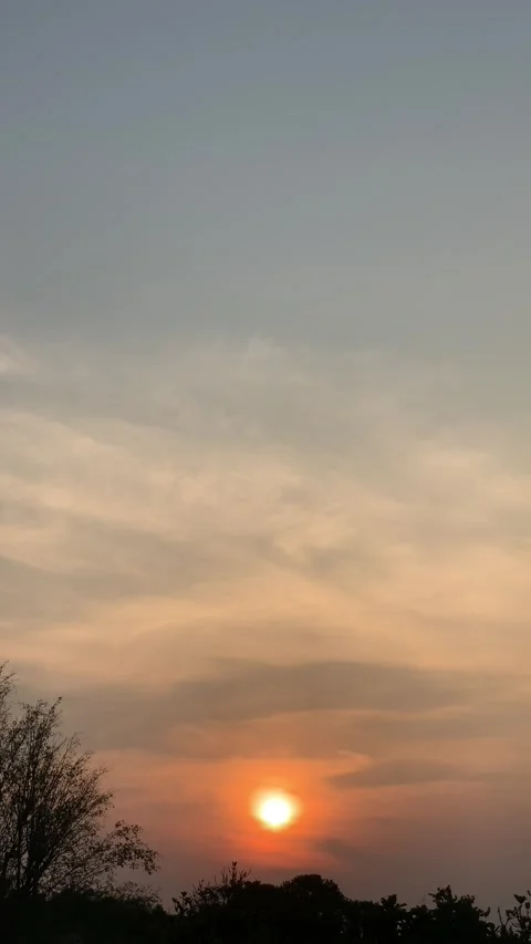 Vertical 4K Static Sunset with Dramatic Clouds and Swaying Tree Branches Stock Footage 340549253