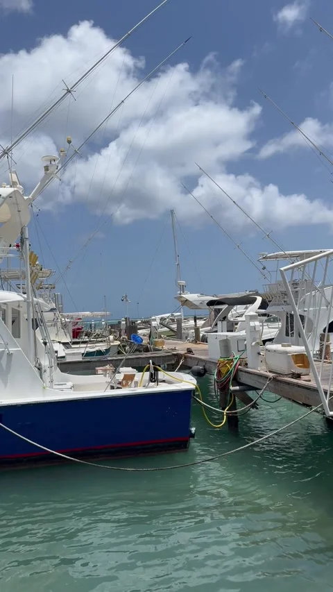 Vertical 4K Static View Of Marina Pier With Moored Luxury Yachts Stock Footage 335372182