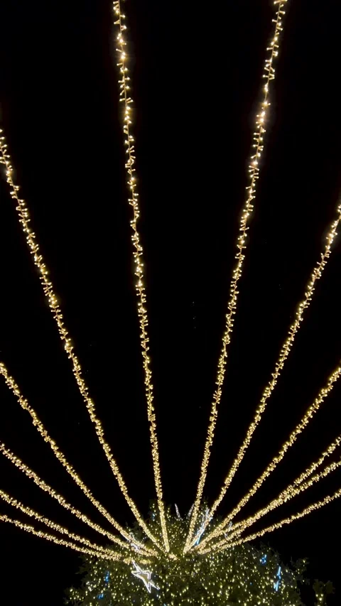 Vertical 4K street video. Glowing garland with golden lights on Christmas tree Stock Footage 340427992