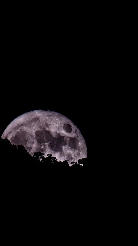 Vertical 4K Timelapse of Full Moon Rising Behind Mountains and Trees Stock Footage 322729088