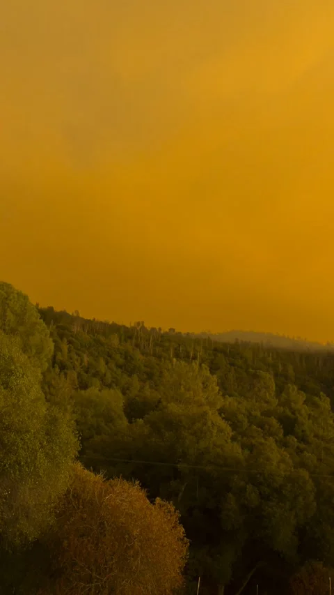 Vertical 4K Timelapse of Wildfire Burning Behind Sierra National Forest Smoke Stock Footage 322716074