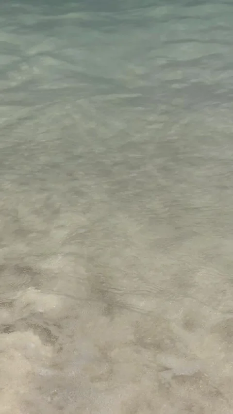 Vertical 4K Ultra Close Up Sunny Ocean Wave On Aruba Sand POV Stock-Footage 335372583
