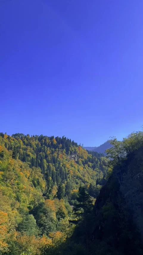 Vertical 4K video. 60 fps. View from cable car cabin to Borjomi mountains Stock Footage 304764517