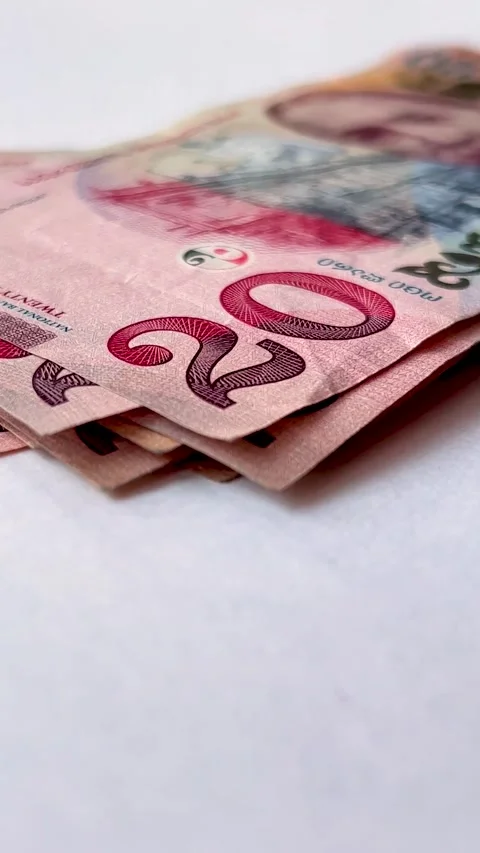 Vertical 4K video. 60 fps. Woman counts Georgian cash money twenty lari Stock-Footage 337831844