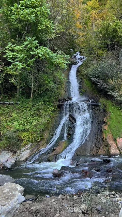 Vertical 4K video. Cliff with small waterfall in Borjomi city park of Georgia Stock Footage 290153015