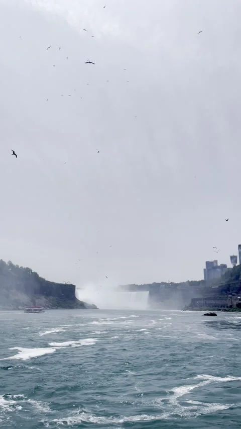 Vertical 4K video of a ferry ride view at Niagara Falls Stock Footage 342079158